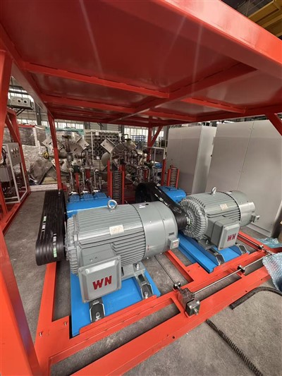 Skid pompa a bassa temperatura ad alte prestazioni personalizzabile