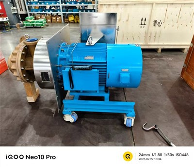 Pompa centrifuga con tenuta a labirinto ad alta-pressione