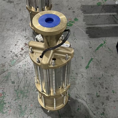 Qual è il metodo di tenuta di una pompa sommersa per GNL?